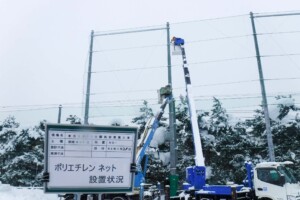 ネット設置状況